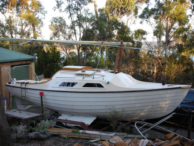 Meg (March 2007)