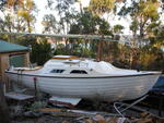 Meg (March 2007)