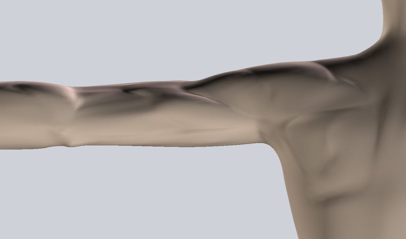 Detail: MaleContourFig