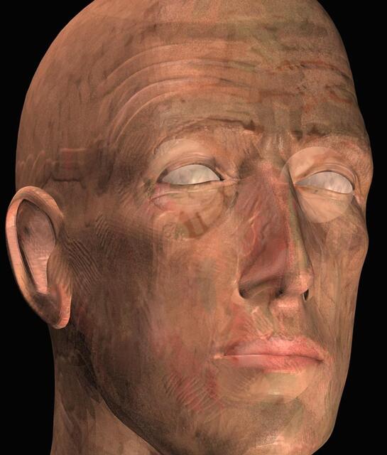 Bodypaint texture on Ubernurbs head