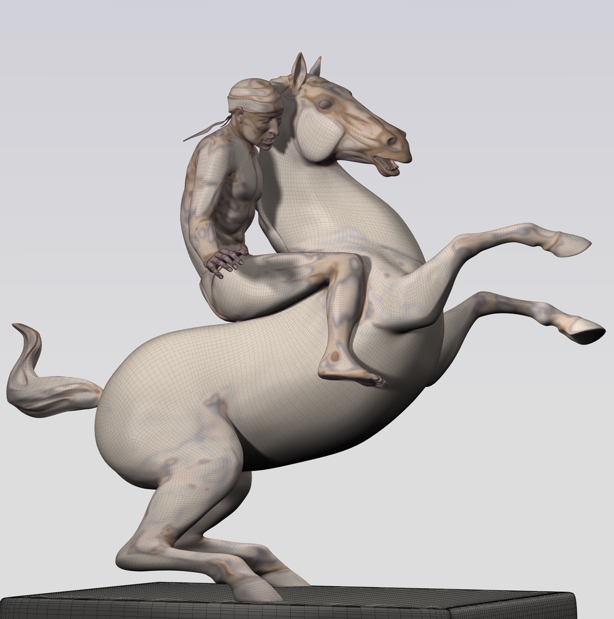Horse & Rider