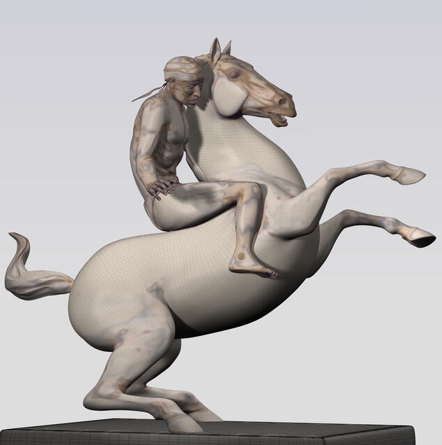 Horse & Rider