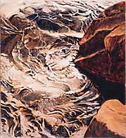 Water map (1996), oil on canvas, 111 x 102cm. 