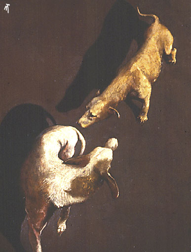 Dogs