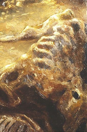 Scavengers detail